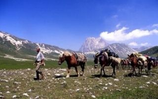  Trekking mit Pantoletten 